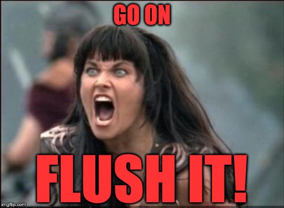 Angry Xena | GO ON FLUSH IT! | image tagged in angry xena | made w/ Imgflip meme maker