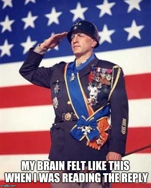 Patton Salutes You | MY BRAIN FELT LIKE THIS WHEN I WAS READING THE REPLY | image tagged in patton salutes you | made w/ Imgflip meme maker