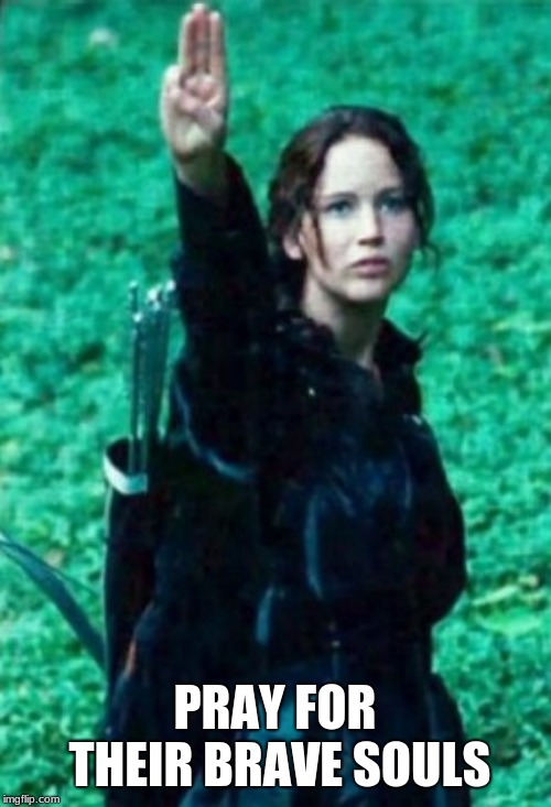 Hunger games | PRAY FOR THEIR BRAVE SOULS | image tagged in hunger games | made w/ Imgflip meme maker