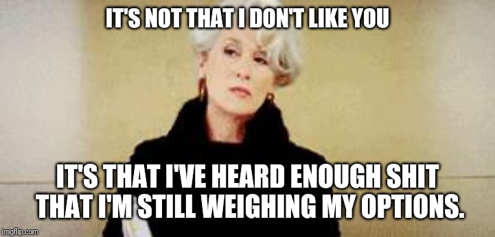 Devil Wears Prada Unimpressed | IT'S NOT THAT I DON'T LIKE YOU; IT'S THAT I'VE HEARD ENOUGH SHIT THAT I'M STILL WEIGHING MY OPTIONS. | image tagged in devil wears prada unimpressed | made w/ Imgflip meme maker