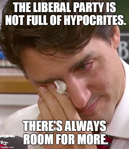 Justin Trudeau Crying | THE LIBERAL PARTY IS NOT FULL OF HYPOCRITES. THERE'S ALWAYS ROOM FOR MORE. | image tagged in justin trudeau crying | made w/ Imgflip meme maker