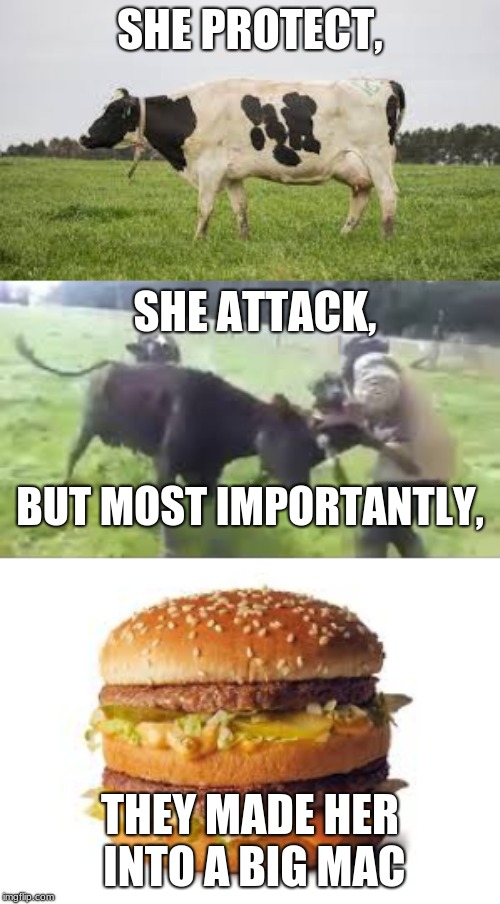 SHE PROTECT, SHE ATTACK, BUT MOST IMPORTANTLY, THEY MADE HER INTO A BIG MAC | image tagged in memes | made w/ Imgflip meme maker