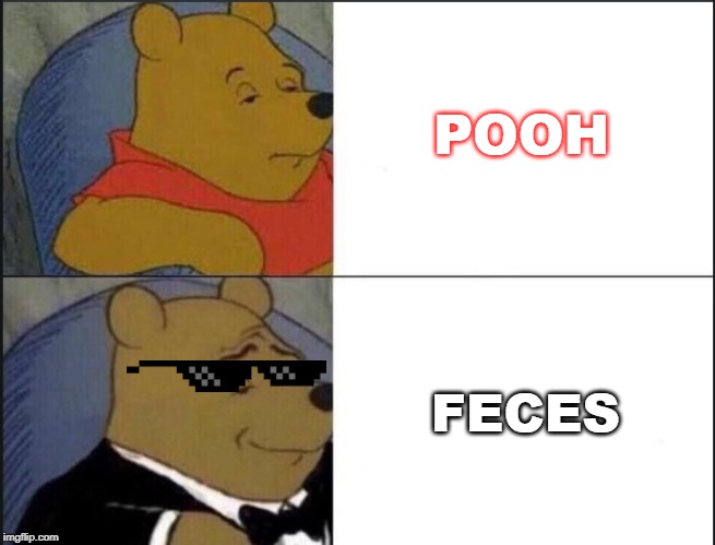 Tuxedo Winnie The Pooh Meme | POOH; FECES | image tagged in winnie the pooh template | made w/ Imgflip meme maker