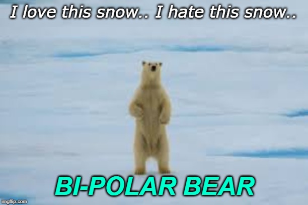 I love this snow.. I hate this snow.. BI-POLAR BEAR | image tagged in polar bear | made w/ Imgflip meme maker