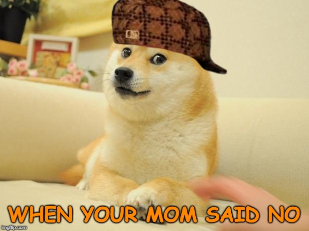 Doge 2 | WHEN YOUR MOM SAID NO | image tagged in memes,doge 2 | made w/ Imgflip meme maker