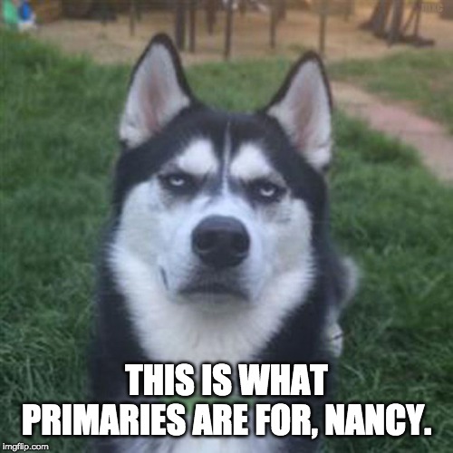 This is what primaries are for, Nancy.
 | mxc; THIS IS WHAT PRIMARIES ARE FOR, NANCY. | image tagged in unamused,politics,political meme,unamused huskie,primaries,election 2020 | made w/ Imgflip meme maker