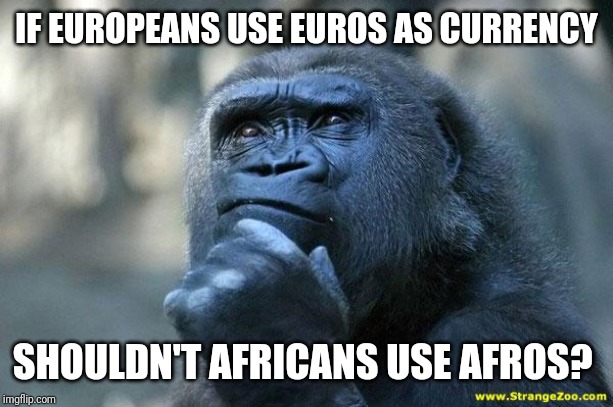 Money Considers the Mysteries of the Universe | IF EUROPEANS USE EUROS AS CURRENCY; SHOULDN'T AFRICANS USE AFROS? | image tagged in deep thoughts,memes,frontpage,confused dafuq jack sparrow what,monkey business,conspiracy theory | made w/ Imgflip meme maker