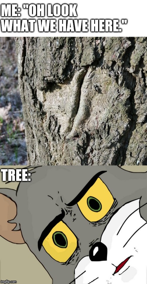 image tagged in unsettled tom,memes,funny memes | made w/ Imgflip meme maker