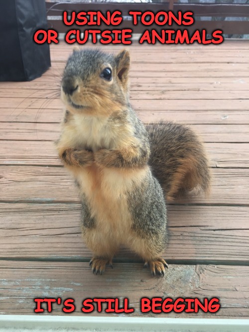 Tree Rat...Who Me? | USING TOONS OR CUTSIE ANIMALS; IT'S STILL BEGGING | image tagged in cute | made w/ Imgflip meme maker