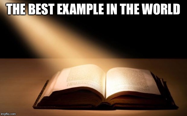 Bible | THE BEST EXAMPLE IN THE WORLD | image tagged in bible | made w/ Imgflip meme maker