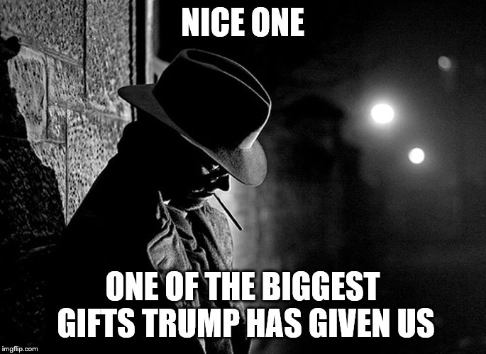 NICE ONE ONE OF THE BIGGEST GIFTS TRUMP HAS GIVEN US | made w/ Imgflip meme maker