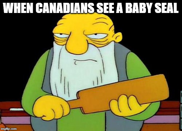 That's a paddlin' Meme | WHEN CANADIANS SEE A BABY SEAL | image tagged in memes,that's a paddlin' | made w/ Imgflip meme maker