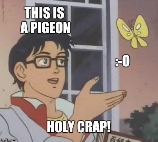 Is This A Pigeon Meme | THIS IS A PIGEON; :-O; HOLY CRAP! | image tagged in memes,is this a pigeon | made w/ Imgflip meme maker