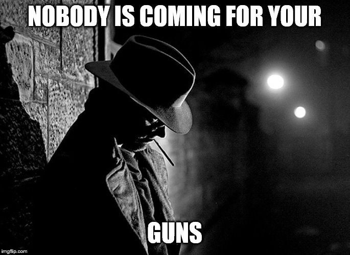 NOBODY IS COMING FOR YOUR GUNS | made w/ Imgflip meme maker