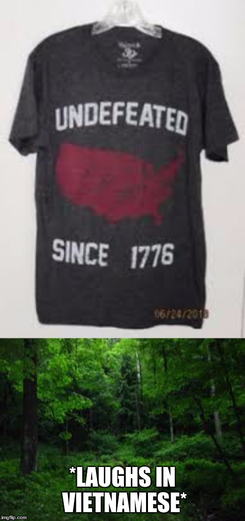 The trees say something in vietnamese | *LAUGHS IN VIETNAMESE* | image tagged in war,vietnam,america,trees,tree,forest | made w/ Imgflip meme maker