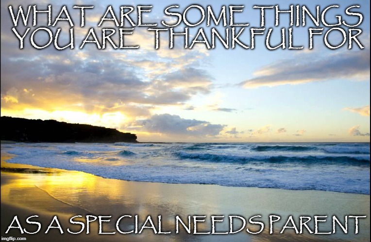 Thankful Special Needs parenting | WHAT ARE SOME THINGS YOU ARE 
THANKFUL FOR; AS A SPECIAL NEEDS PARENT | image tagged in thankful | made w/ Imgflip meme maker