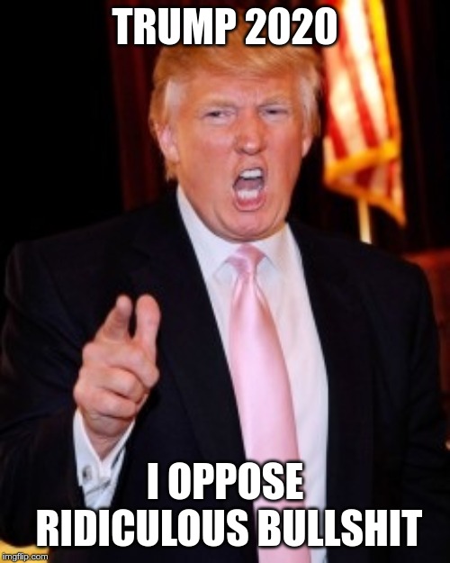 Donald Trump | TRUMP 2020; I OPPOSE RIDICULOUS BULLSHIT | image tagged in donald trump | made w/ Imgflip meme maker