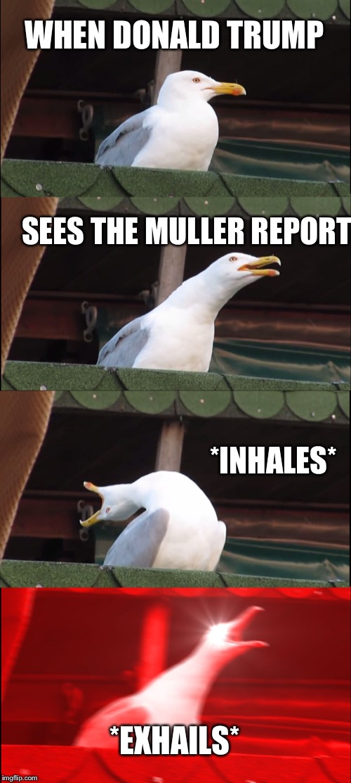 Inhaling Seagull | WHEN DONALD TRUMP; SEES THE MULLER REPORT; *INHALES*; *EXHAILS* | image tagged in memes,inhaling seagull | made w/ Imgflip meme maker