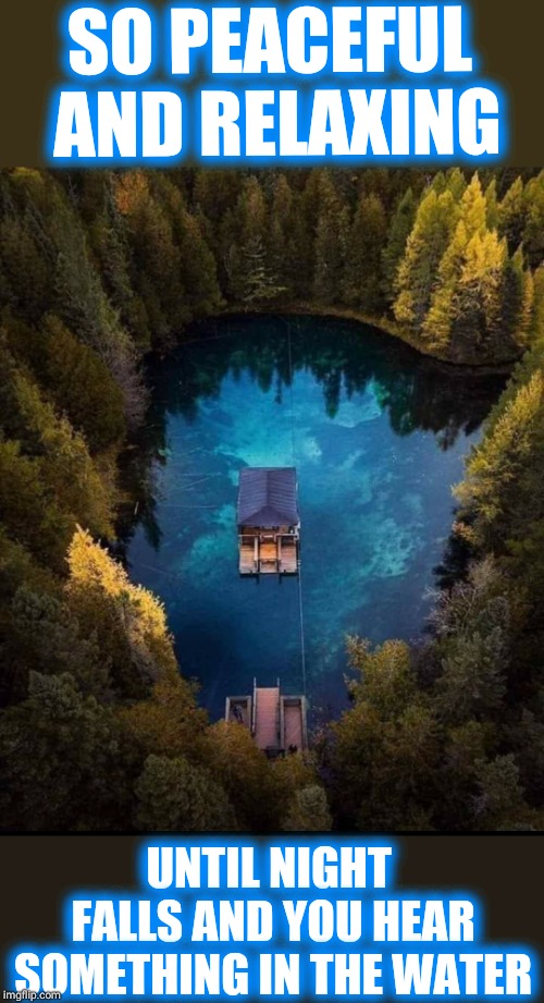 I just wanted some peace and quiet  |  SO PEACEFUL AND RELAXING; UNTIL NIGHT FALLS AND YOU HEAR SOMETHING IN THE WATER | image tagged in house,memes,imgflip,fun,blue water,peaceful | made w/ Imgflip meme maker
