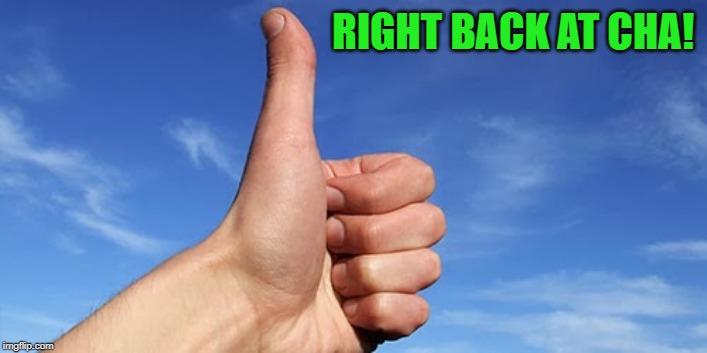 thumbs up | RIGHT BACK AT CHA! | image tagged in thumbs up | made w/ Imgflip meme maker
