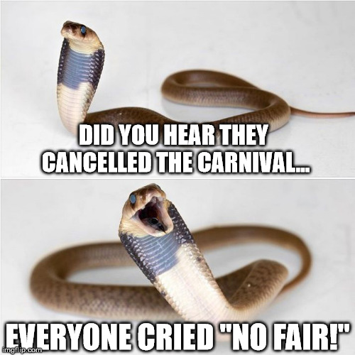 Cobra Comedian | DID YOU HEAR THEY CANCELLED THE CARNIVAL... EVERYONE CRIED "NO FAIR!" | image tagged in cobra comedian | made w/ Imgflip meme maker