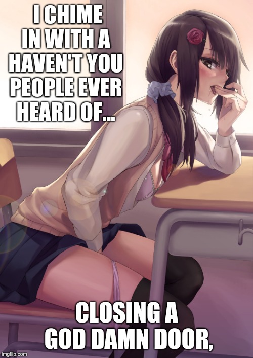 Hentai anime girl | I CHIME IN WITH A HAVEN'T YOU PEOPLE EVER HEARD OF... CLOSING A GOD DAMN DOOR, | image tagged in hentai anime girl | made w/ Imgflip meme maker