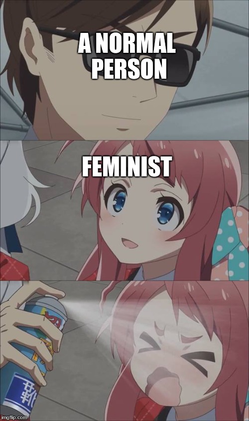 Anime spray | A NORMAL PERSON; FEMINIST | image tagged in anime spray | made w/ Imgflip meme maker