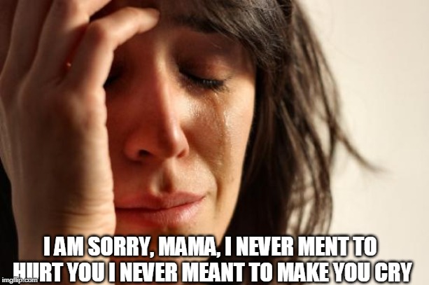 First World Problems Meme | I AM SORRY, MAMA, I NEVER MENT TO HURT YOU I NEVER MEANT TO MAKE YOU CRY | image tagged in memes,first world problems | made w/ Imgflip meme maker