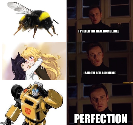 I PREFER THE REAL BUMBLEBEE; I SAID THE REAL BUMBLEBEE; PERFECTION | image tagged in transformers,rwby | made w/ Imgflip meme maker