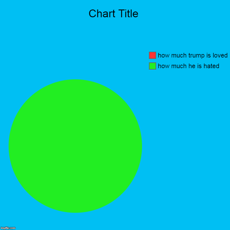 how much trump is hated
 | how much he is hated, how much trump is loved | image tagged in charts,pie charts | made w/ Imgflip chart maker