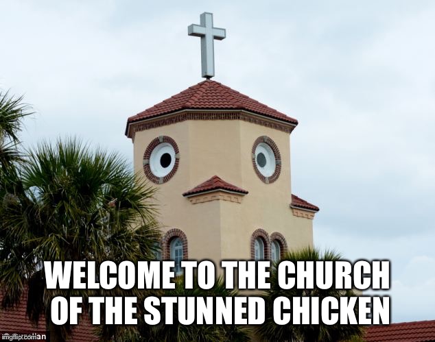 WELCOME TO THE CHURCH OF THE STUNNED CHICKEN | image tagged in church of the stunned chicken | made w/ Imgflip meme maker
