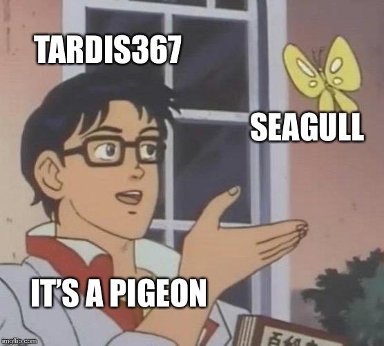 Is This A Pigeon Meme | TARDIS367 SEAGULL IT’S A PIGEON | image tagged in memes,is this a pigeon | made w/ Imgflip meme maker