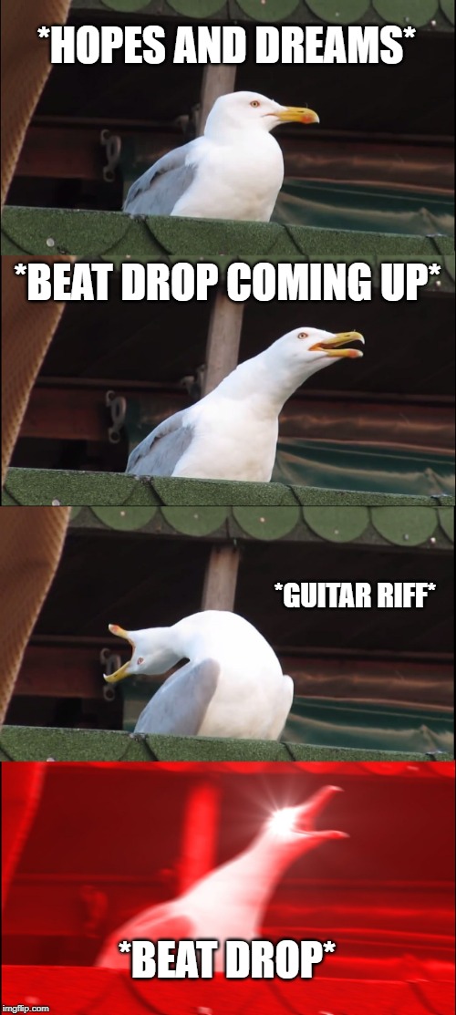 Inhaling Seagull | *HOPES AND DREAMS*; *BEAT DROP COMING UP*; *GUITAR RIFF*; *BEAT DROP* | image tagged in memes,inhaling seagull | made w/ Imgflip meme maker
