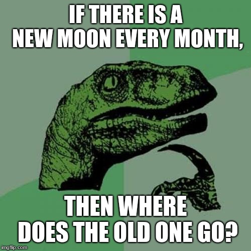 Philosoraptor | IF THERE IS A NEW MOON EVERY MONTH, THEN WHERE DOES THE OLD ONE GO? | image tagged in memes,philosoraptor | made w/ Imgflip meme maker