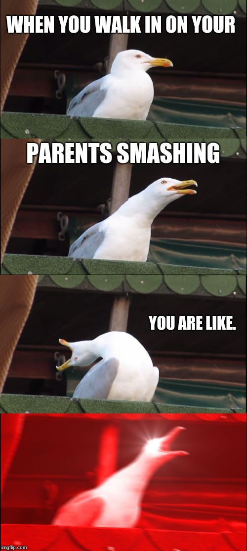 Inhaling Seagull | WHEN YOU WALK IN ON YOUR; PARENTS SMASHING; YOU ARE LIKE. | image tagged in memes,inhaling seagull | made w/ Imgflip meme maker