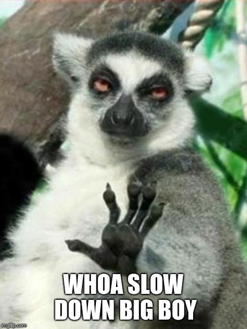 Whoa Lemur | WHOA SLOW DOWN BIG BOY | image tagged in whoa lemur | made w/ Imgflip meme maker