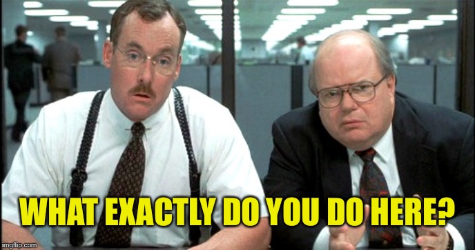 WHAT EXACTLY DO YOU DO HERE? | made w/ Imgflip meme maker