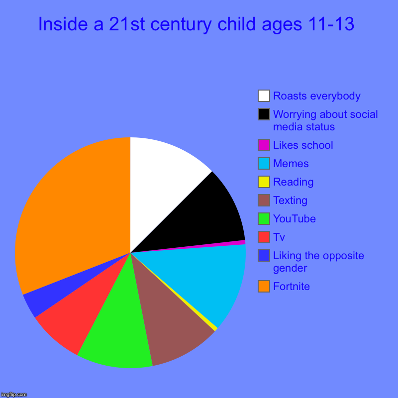 Inside a 21st century child ages 11-13 | Fortnite, Liking the opposite gender, Tv, YouTube, Texting, Reading, Memes, Likes school , Worrying | image tagged in charts,pie charts | made w/ Imgflip chart maker