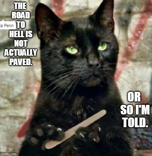 all politicians suck.or so I'm told.etc | THE ROAD TO HELL IS NOT ACTUALLY PAVED. OR SO I'M TOLD. | image tagged in black cat,shower thoughts,spare logic,memes | made w/ Imgflip meme maker