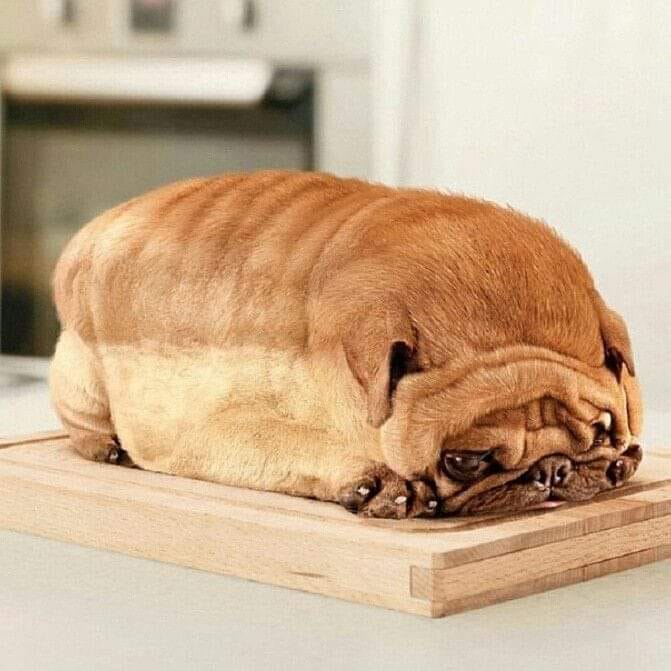 Dog Bread Blank Meme Template