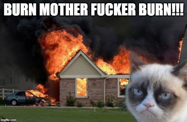 Burn Kitty Meme | BURN MOTHER F**KER BURN!!! | image tagged in memes,burn kitty,grumpy cat | made w/ Imgflip meme maker