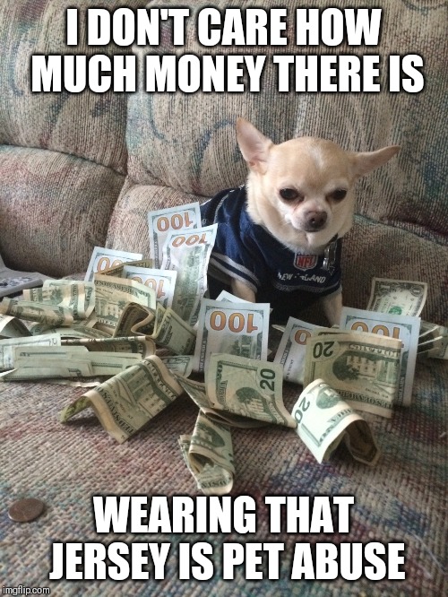 Pet abuse  | I DON'T CARE HOW MUCH MONEY THERE IS; WEARING THAT JERSEY IS PET ABUSE | image tagged in money dog,memes,nfl,dog memes,doggo,new england patriots | made w/ Imgflip meme maker