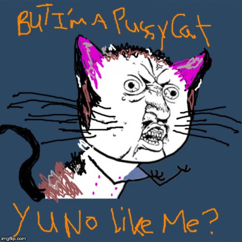 Y U No | image tagged in memes,y u no,cat | made w/ Imgflip meme maker