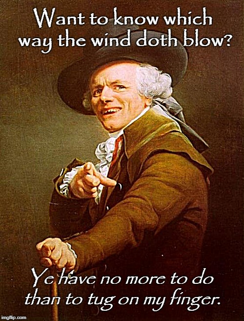 Joseph Ducreux Meme | Want to know which way the wind doth blow? Ye have no more to do than to tug on my finger. | image tagged in memes,joseph ducreux | made w/ Imgflip meme maker