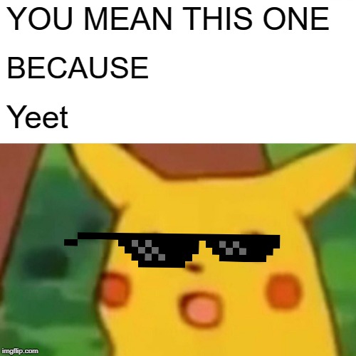 YOU MEAN THIS ONE BECAUSE Yeet | image tagged in memes,surprised pikachu | made w/ Imgflip meme maker