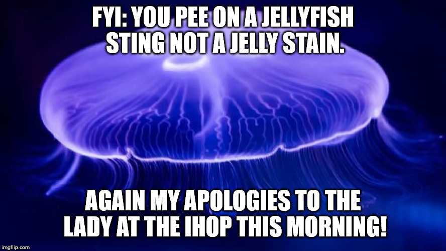 Jelly Stain | FYI: YOU PEE ON A JELLYFISH STING NOT A JELLY STAIN. AGAIN MY APOLOGIES TO THE LADY AT THE IHOP THIS MORNING! | image tagged in jellyfish,jelly,stain,ihop,pee | made w/ Imgflip meme maker