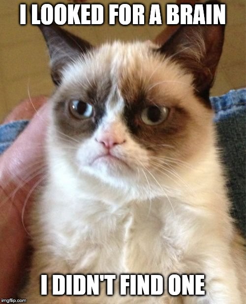 Grumpy Cat Meme | I LOOKED FOR A BRAIN I DIDN'T FIND ONE | image tagged in memes,grumpy cat | made w/ Imgflip meme maker