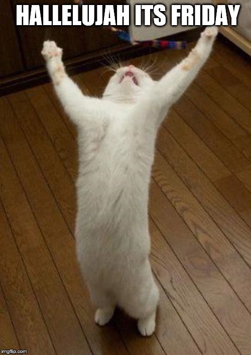 Happy Cat | HALLELUJAH ITS FRIDAY | image tagged in cat,friday | made w/ Imgflip meme maker