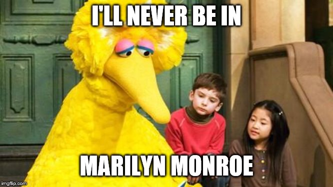 Sad Big Bird | I'LL NEVER BE IN MARILYN MONROE | image tagged in sad big bird | made w/ Imgflip meme maker