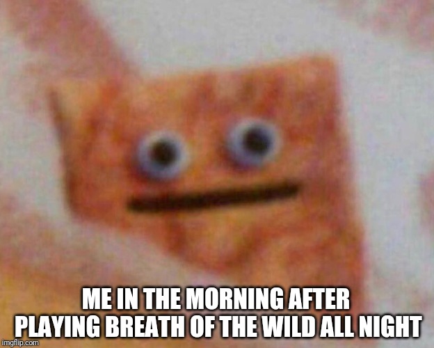 Me in the morning after playing BoTW all night | ME IN THE MORNING AFTER PLAYING BREATH OF THE WILD ALL NIGHT | image tagged in the legend of zelda breath of the wild,nintendo | made w/ Imgflip meme maker